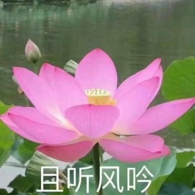 屠鲲破晓破解版下载